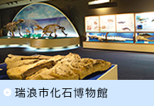 瑞浪市化石博物館