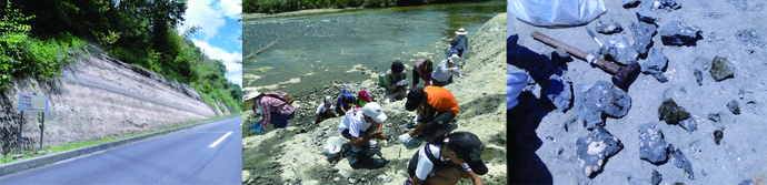 Field trip route and Fossil collecting site