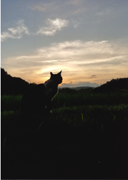 写真:入選作品5