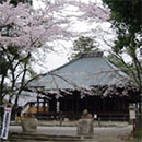 写真：櫻堂薬師と満開の桜