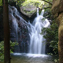 写真：緑深い山の中で水しぶきを上げる滝