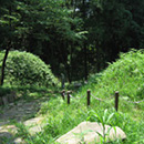 写真：昔のままの姿で残る一里塚の風景