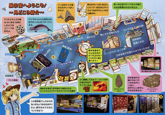 イラスト：展示室の全体図と見どころの説明