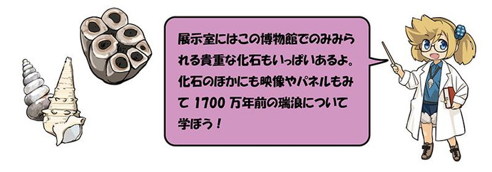 イラスト：展示室にはこの博物館でのみみられる貴重な化石もいっぱいあるよ。化石のほかにも映像やパネルもみて1700万年前の瑞浪について学ぼう！