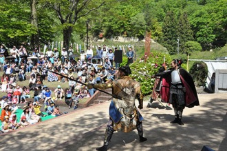 写真：武将隊演武2