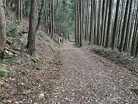 写真：中山道(十三峠)