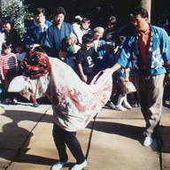 写真：宿獅子舞