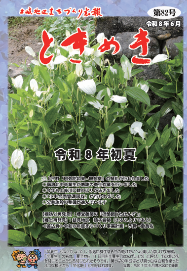 写真 第82号