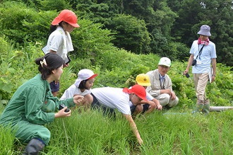 写真：田んぼに手を伸ばしている男児とそれを見ている児童三人と大人三人