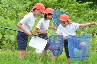 写真：網で捕まえた生き物を覗き込む児童三人の様子