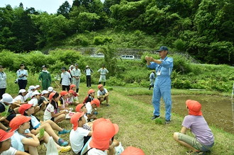 写真：稲津小田植え1