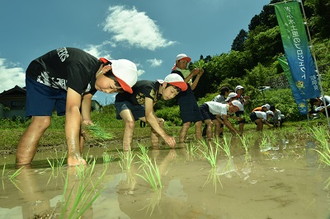 写真：稲津小田植え2