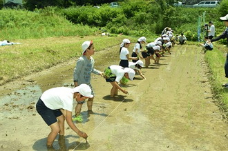 写真：稲津小田植え3