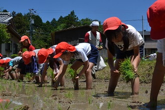 写真：稲津小田植え4