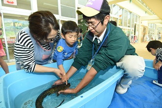 写真：竜吟幼児園移動水族館3