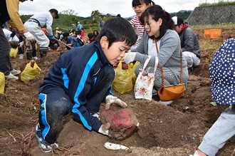 写真：いいなっつ農園収穫祭4