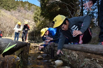 写真：ホタルの幼虫放流3