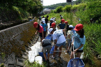 写真：河川で環境学習1