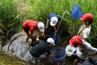 写真：河川で環境学習2