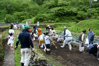 写真：じゃがいも・玉ねぎ収穫体験5