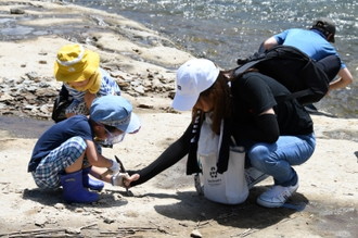写真：化石を探している参加者の様子