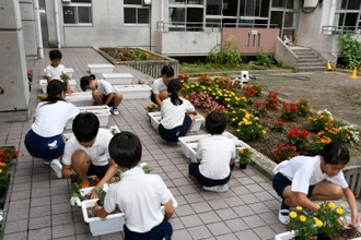 写真：プランターに花を植える子どもたちの様子