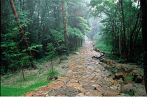 写真：中山道琵琶峠の石畳の風景