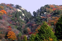 写真：鬼岩の風景