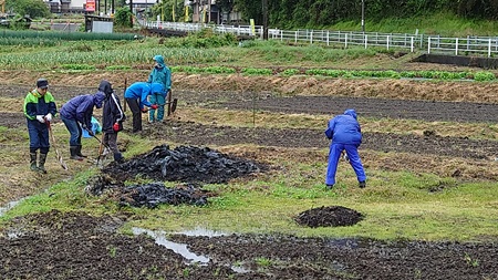 田植え