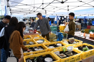 写真：大勢の人でにぎわう陶器市の様子3