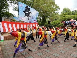 写真：バサラ