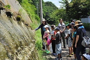 写真：夏の化石教室2017.8その2