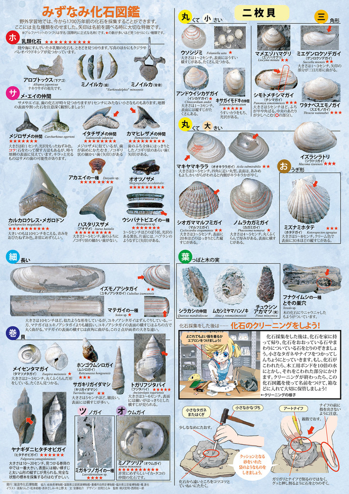 みずなみ化石図鑑