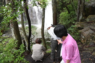 写真：苔観察の様子