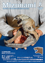 表紙写真：化石博物館企画展　新発見！みずなみの化石たち