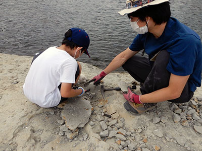 夏の化石教室その3