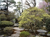 写真：曽根氏庭園2