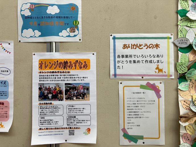 2026展示2