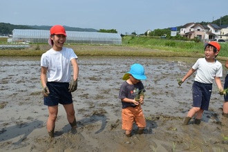 田植え体験の様子