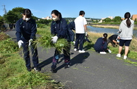 清掃活動の様子