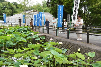 池の様子