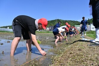 田植え