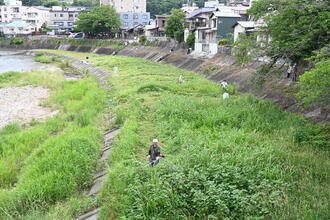 草刈り