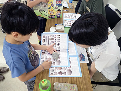 化石の名前つけ