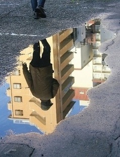 写真の部　市展賞