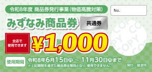 共通券